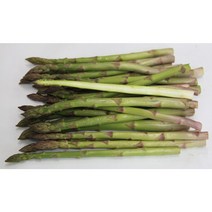 국내산 제주 아스파라거스 1kg, 1번크기 1kg(대)