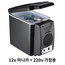트럭 자동차 냉온장고 미니 캠핑 차량용냉장고, 6L블랙(12V카+220V가정용)