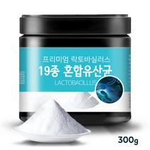 락토바실러스 가세리 모유유산균 균주 19종 혼합 분말 가루 국산 종균 락티스 살리바리우스 300g, 1병, 1병