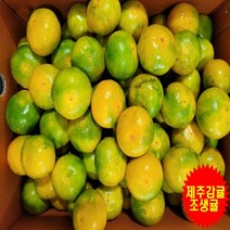 [프레시푸드마켓] 제주하우스감귤 조생귤 1.5KG 2.5KG 5KG 10KG, 5kg