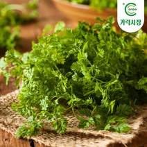 신선식품(브랜드없음) [온도씨]가락시장 처빌 100g, 단품없음