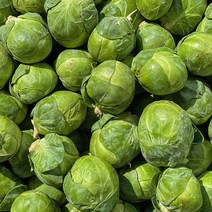 [KT알파쇼핑]제주 못난이 방울양배추 1kg, 1개