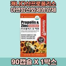 프로폴리스추출물 폴라보노이드 항산화 아연 면역 영양제 단품 캐나다프로폴리스 쥬니어 키즈프로폴리스