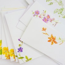STNY_늘봄 들꽃 돈봉투 6종 심플편지 예쁜 이 디자인 지 상품권 용 부모님용 님용, this☆6.노랑어리연꽃