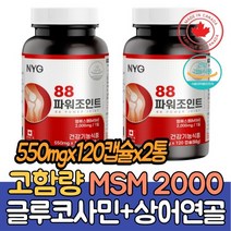 고함량 팔팔 JOINT 엠에스엠 글루코사민 2통 조인트 관절엔 MSM 2000 관절영양제 식이유황 관절 상어연골