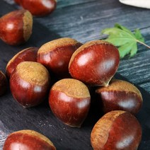 2022년 햇밤 광양 백운산 알밤 3kg(특대), 단품
