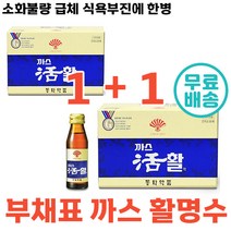 10병+10병 부채표 까스 활 까스활명수 맛있는 소화 가안될때 음료 소화 불량 과식 식체 위 팽만감 구역 식욕 부진 탕비실 가스 동화약품 대용량 정품 제 가족 체했을때 마시는, 10병+10병 (총20병), 75ml