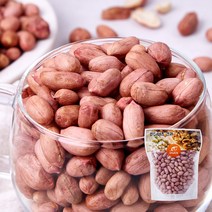 [맛딜]신선하고 고소한 국내산 생땅콩 날땅콩 500g, 1개
