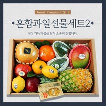 명절 프리미엄 혼합 과일 선물세트 2번