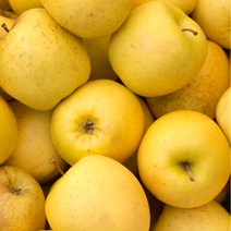 시나노 골드 사과 황금사과 노란사과 2kg 3kg 5kg, 1박스, (가정용-못난이) 꼬마과~소과 10-13과 / 2kg