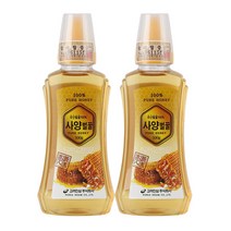 고려인삼 사양벌꿀, 500g, 2개