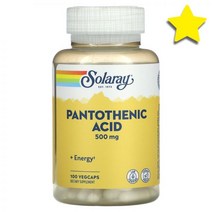 솔라레이 판토텐산 비타민B pantothenic acid 500mg 식물성 베지캡슐 100정, 100 개 강철체력