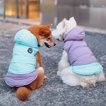 강아지패딩 패딩 조끼 겨울옷 후드 다운 점퍼, 민트