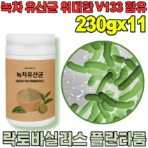 꼼꼼한 검수 통과한 자연이 주는 선물 락토 바실러스 플란 타룸 녹차 유산균 프락토 올리고당 위대한 V 133 녹자 우산균 위산균 유신균 프로바이오틱 가루 파우더 분말 파는곳 추천, 11