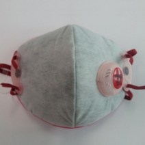 에버그린 크린탑 방진마스크 C850V 특급 10개, 단품