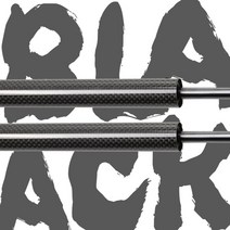 스트럿바 포드 머스탱 2010-2014 업소버 자동 프론트 보닛 후드 용 가스 스트럿, 블랙 carbon fiber