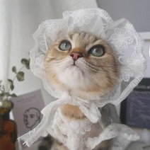 애완 동물 레이스 양산 모자 고양이 개 옷 후드 귀여운 강아지 선스크린 조명 액세서리, 01 hat_01 S