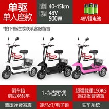 세발 어르신 삼륜 노인 3륜 바이크 오토바이 전기 전동 스쿠터, 48V, 48V 싱글 드라이브: 리튬전지/1인승+아동석