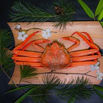 포항 구룡포 산지직송 선주직송 최상급 가성비 라면용 육수용 실속형 홍게 수율 프리미엄 명품 홍게 3kg 4kg 5kg 10kg, 2. 고급형 홍게 10마리 ( 3kg )