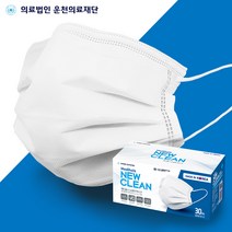 식약처인증 국내생산 메디홀스 뉴크린 덴탈 마스크 비말차단 KF-AD 120매 / 240매, 240매 (30매x8개)