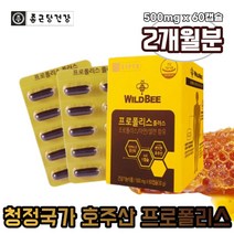 종근당건강 호주산 호주 프로폴리스 아연 2개월분 propolis zinc flavonoid, 1박스