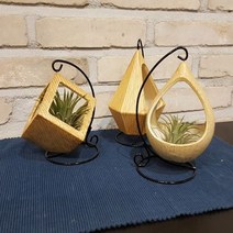 W196BD2상회 인테리어 화분 다육식물 도기 소품 공기정화식물 틸라드시아 이오난사, 사각형