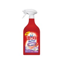 곰팡이타파!!! 홈스타 뿌리는 곰팡이 싹 750ml 곰팡이제거제 곰팡이세정제 곰팡이예방 곰팡이제거 탈취제, 1개