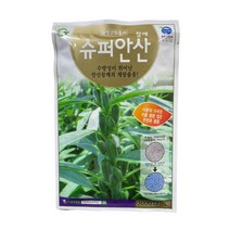 주주씨앗 슈퍼안산참깨 3000립 펠렛코팅종자 참깨 씨앗 종자