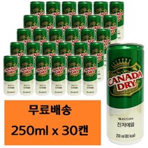 캐나다 드라이 진저에일 250ml x 30캔 진저엘