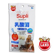 햄스터 영양제 마루칸 유산균 20g 토끼 영양제 먹이