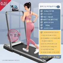 워킹패드 이고진 저소음 가정용 실내 접이식 워킹머신 런닝머신 홈트레킹, G