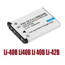 EN-EL10 배터리 + 벽 충전기 Nikon Coolpix S200S210 S500 S80 S3000, 01 US PLUG