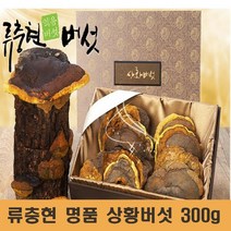 국산 상황 버섯 명품 상황버섯균사체 베타글루칸 뽕나무 목질진흙버섯 종류 상황버섯차 먹는방법 끓이는법 선물세트 효능 추천, 300g, 1개