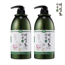 더블모 어성초 샴푸 플로럴향, 1000ml, 2개