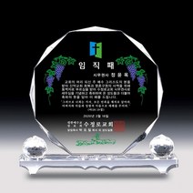 상패뜰 크리스탈 상패85 감사패 공로패 퇴직감사패 부모님감사패 교회패 전역패 장기근속패 임직패 송공패 재직기념패 환갑 칠순 팔순 정년퇴직패 교장교감선생님패