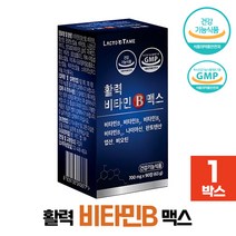 아드비타맥스 2050mgX60정 고함량 메가도스 활력 멀티 비타민B 컴플렉스 2개월분 4개월분 3+1(8개월분), 1개