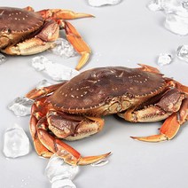 씨애틀 활 던지니스 크랩 1미 950~1 050g/미국산, 없음, 1개