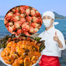 통영 멍게 활멍게 생물 꽃멍게 돌멍게 손질 깐멍게 무침 젓갈 냉동 국내산 멍개 양식 자연산 해삼 1kg 2kg, [6번] 멍게무침(500g) 1개, 1개