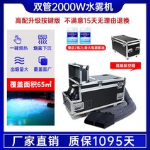 드라이아이스 머신 기계 스모그 포그 결혼식장 무대 머신, B. 2000W 더블관