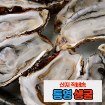 내고향농수산 통영 제철 생굴 석화 각굴 하프셀 1kg 5kg 10kg, 하프셀 1단 (30미 내외)