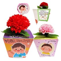 [피오피스토리] 카네이션 메세지 화분 만들기(메세지화분:인쇄), 1개