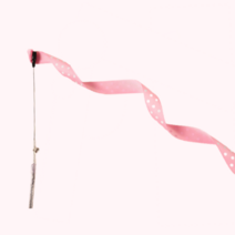 바스락볼 고양이 카샤카샤붕붕 오뎅꼬치 고양이강아지풀 우다다 낚시대 양모볼 장난감, 땡땡이
