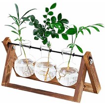 수경 재배 유리 꽃병 탁상용 유리 화분 전구 꽃병 레트로 솔리드 나무 스탠드 수경 식물 홈 오피스 장식용 (3), Three