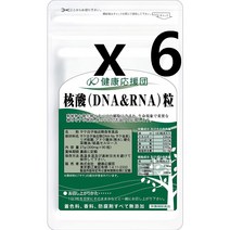 핵산 DNA RNA 연어 이리 효모 90정 X 6개세트 6 개월분 일본 영양제, 6개