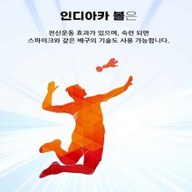 인디아카볼 홈스포츠 방과후 스포츠 공놀이, 단품