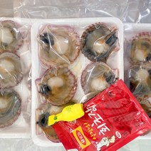 통영멍게 봄여름 제철 수산물 굴 가리비 돌문어 외, 1팩, 홍가리비하프셀3팩(18미)