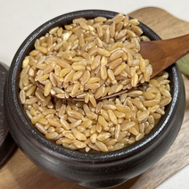 호라산밀 1kg 고대원시곡물