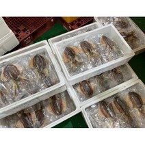 국내산 손질 반건조 갑오징어 소 대 사이즈 1마리, 반건조 갑오징어 대 1마리, 1개
