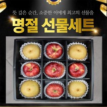 추석선물 VIP혼합과일선물세트 9과 (사과5 배4)
