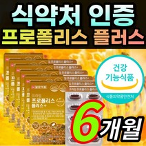 식약처 인증 프로폴리스 프로플러스 프로볼리스 폴라폴리스 폴리폴리스 프로폴리 플라보노이드 환절기 세포 보호 면역력 항산화 도움 알약 캡슐 / 알 약 케이스증정 일양약품, 6개월 / 6박스